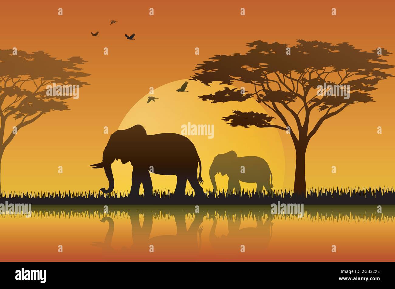 African Elephant Silhouette Sunset 1,800+ Elephant Silhouette At