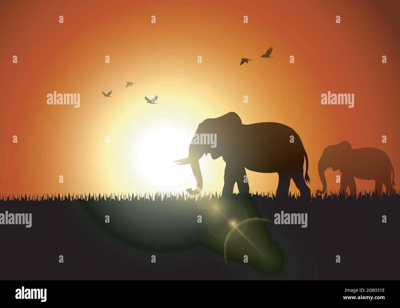 Elephant silhouette at sunset illustration Stock Vector Image & Art - Alamy