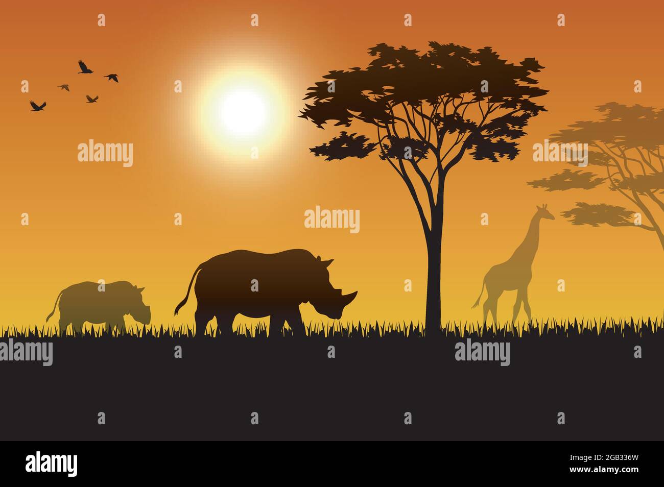 Animals silhouette in sunset at savanah Stock Vector Image & Art - Alamy