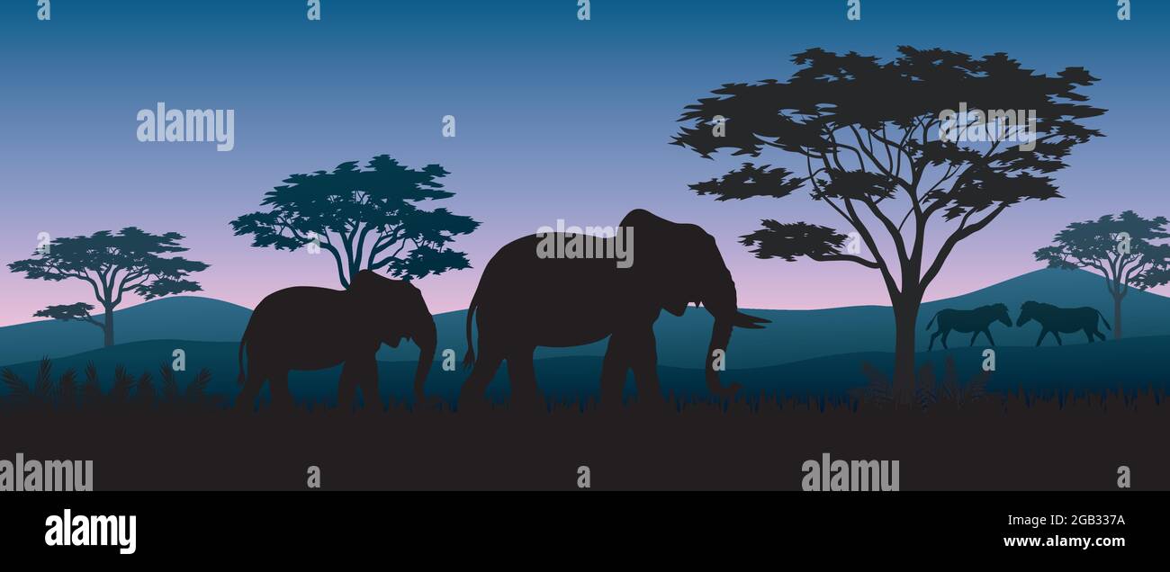Elephant silhouette at sunset illustration Stock Vector Image & Art - Alamy