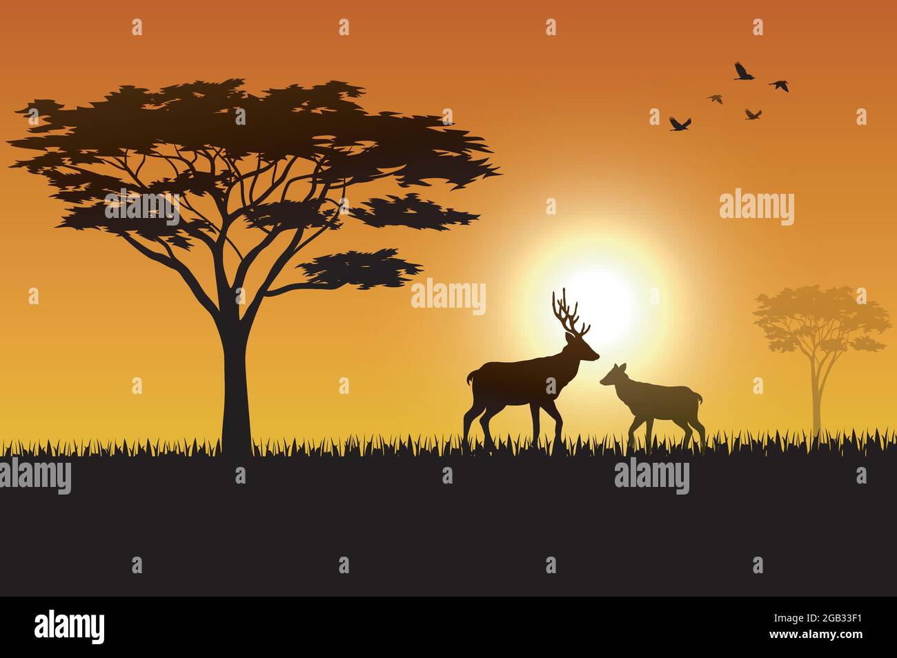 Animals silhouette in sunset at savanah Stock Vector Image & Art - Alamy