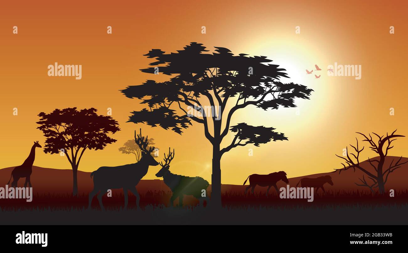 Elephant silhouette at sunset illustration Stock Vector Image & Art - Alamy