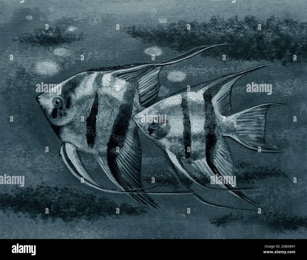 Oil painting of Fancy   Angel fish   pictures Auspiciousness in dark blue , black and white , monochrome Stock Photo