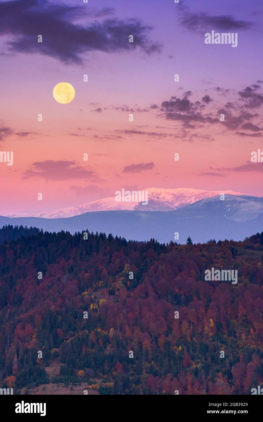 moon rise above snow covered ridge. wonderful autumn landscape of carpathian mountains in late autumn. nature scenery at twilight Stock Photo