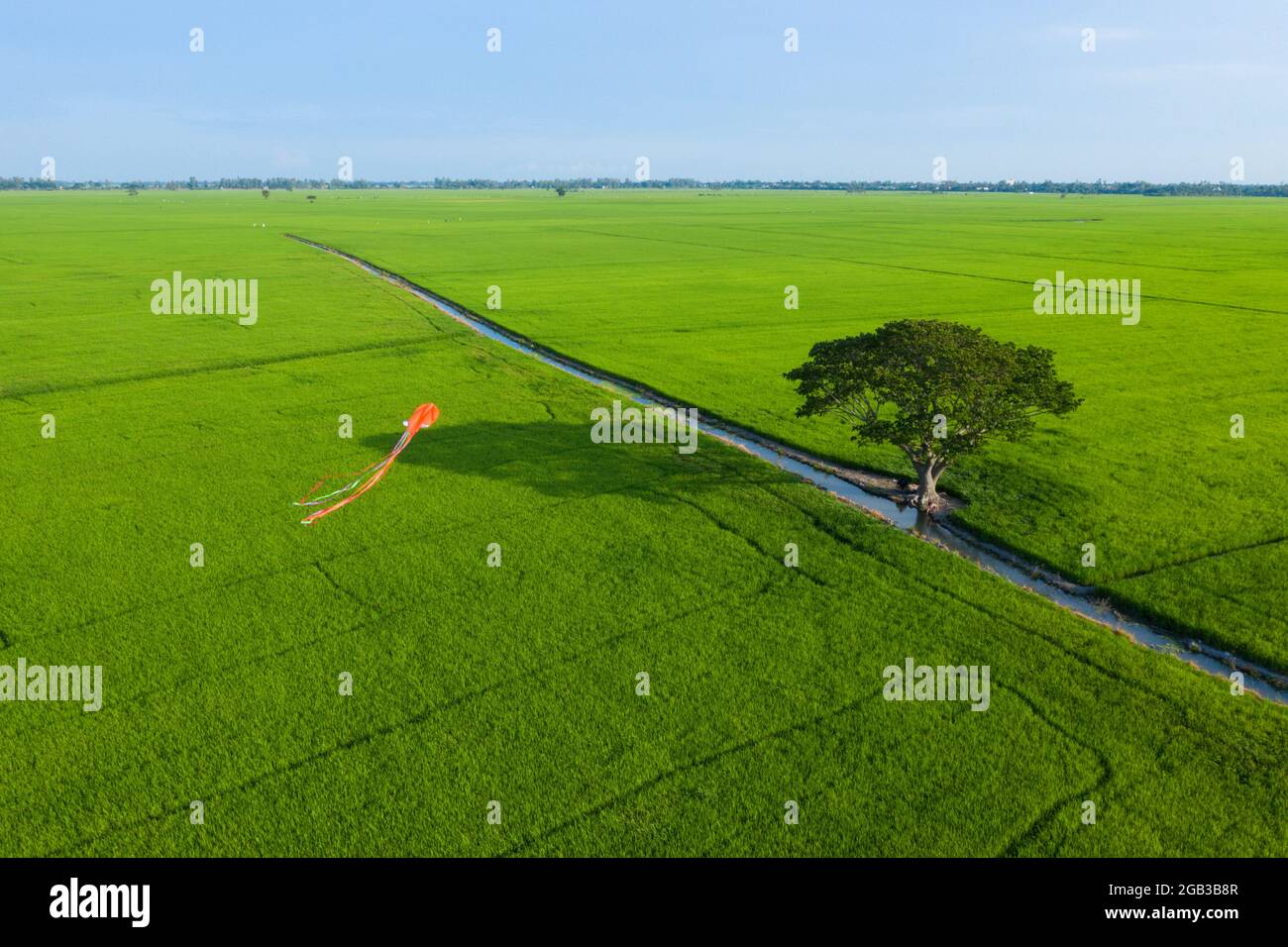Summer field with kite fly on the sunset sky. Beautiful nature landscape, vacation background, famous travel destination. Peaceful landscape Stock Photo