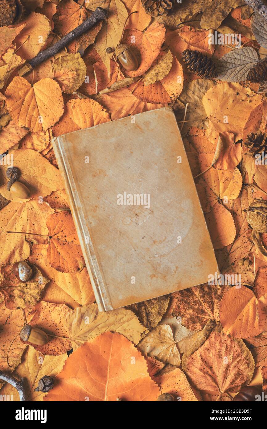 Old book with blank covers as copy space on creative autumn background made of dry leaves, top view flat lay Stock Photo