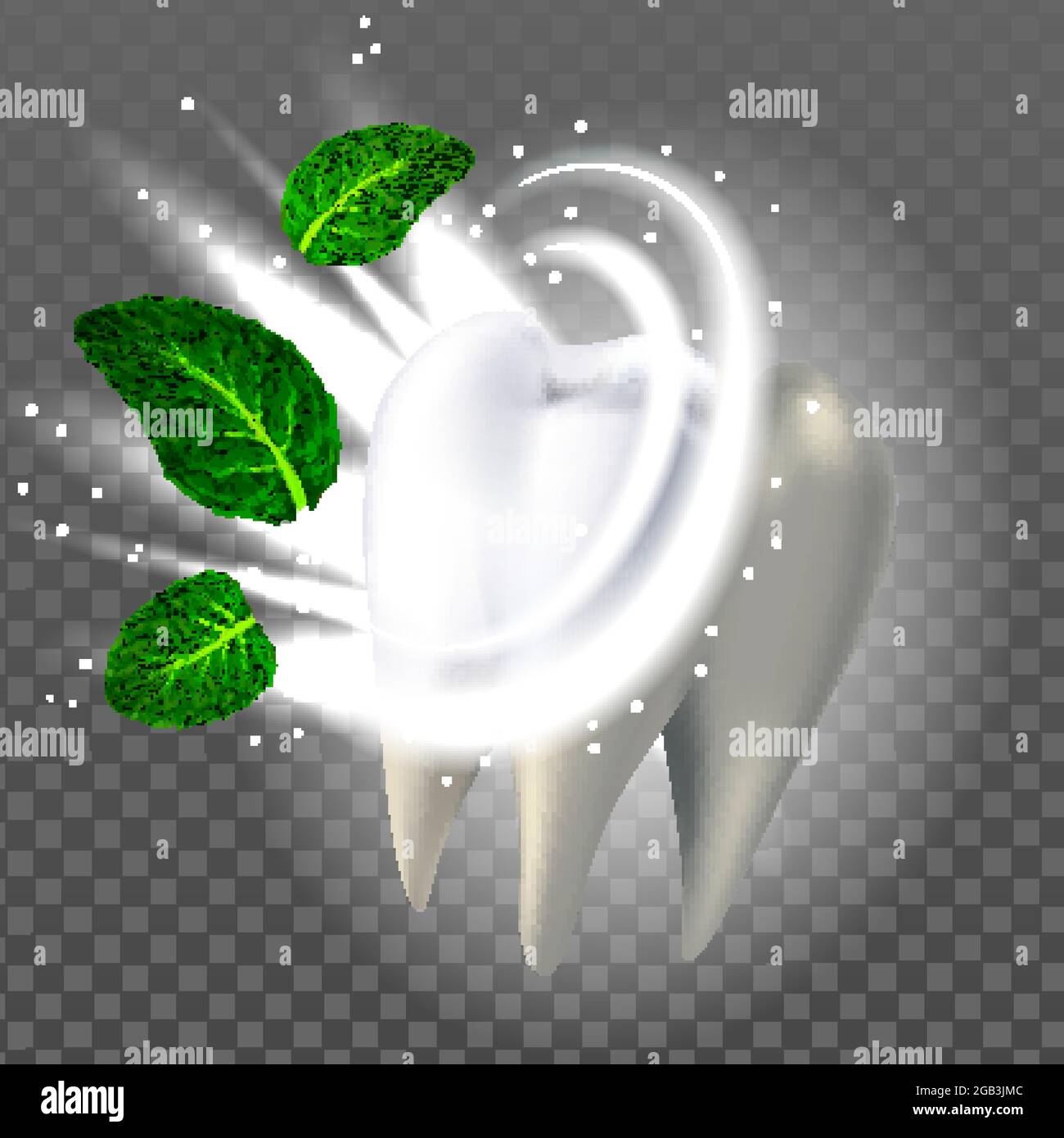 Healthy Tooth And Natural Aroma Mint Leaf Vector Stock Vector Image