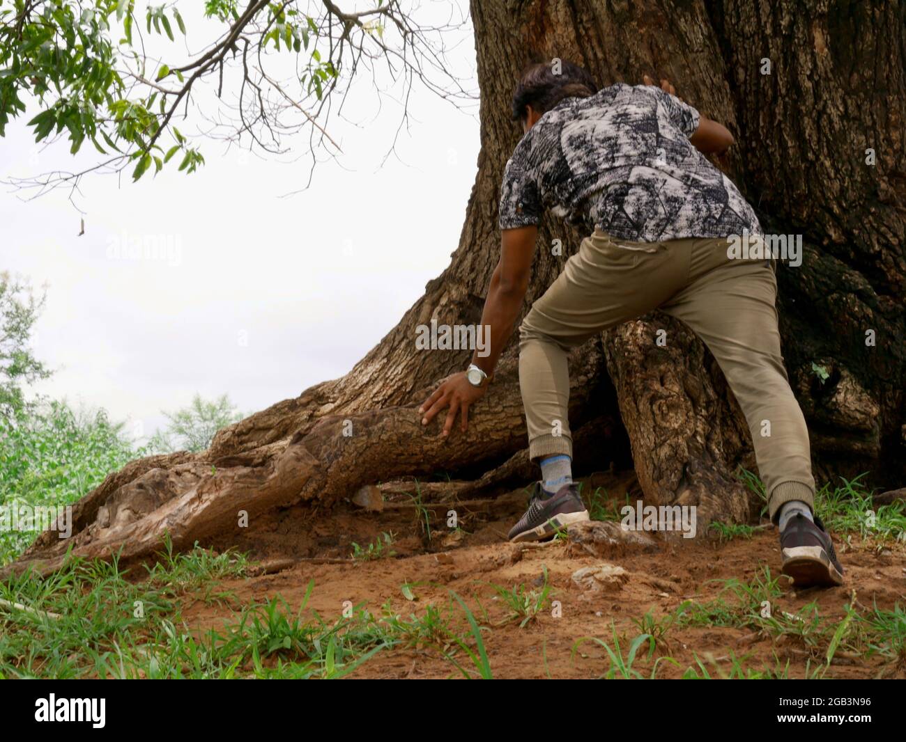 Man pushing tree for exercise at soil field, Health nature background