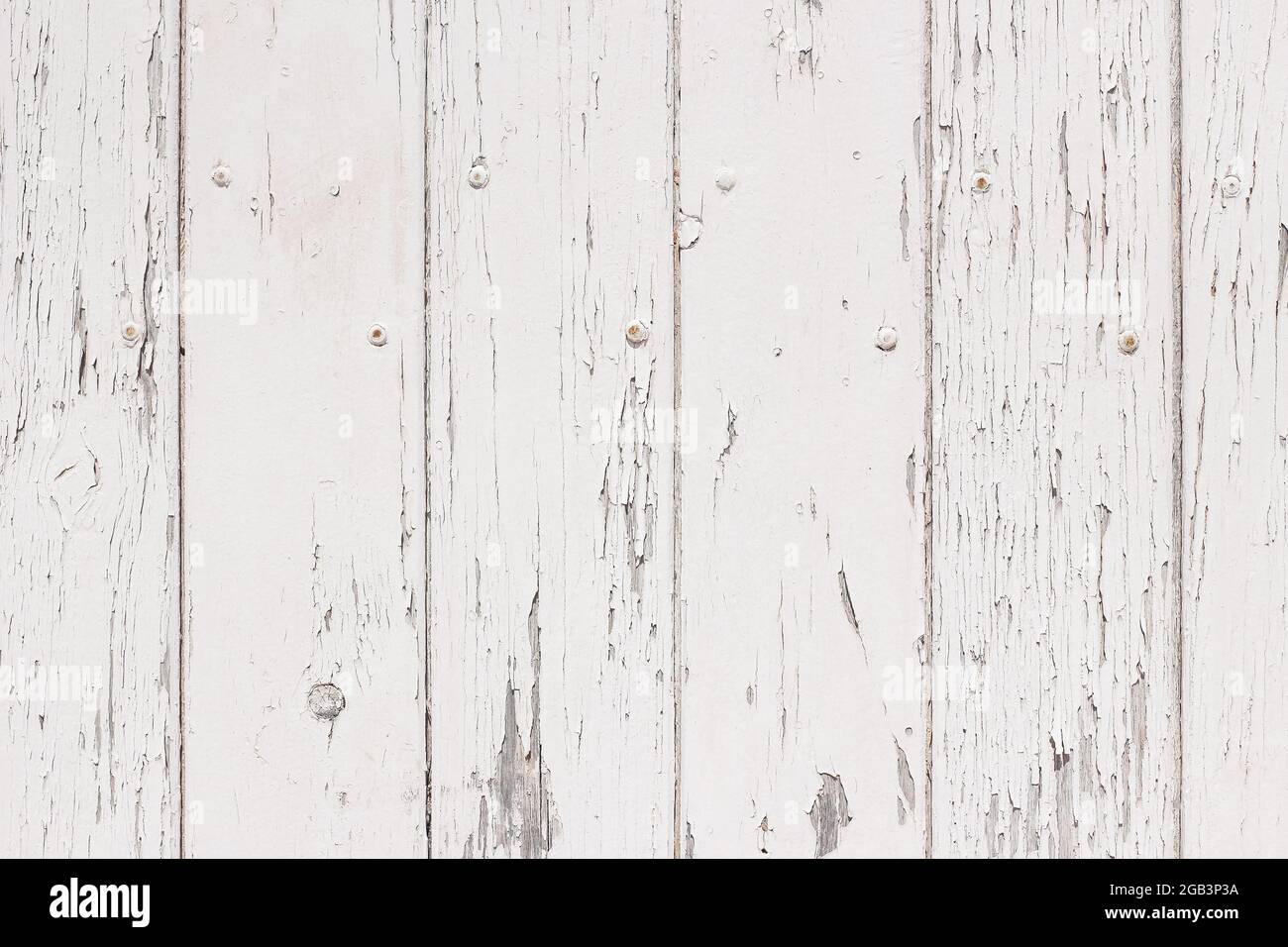 Closeup of old wooden vertical plank background. Aged white painted doors, fence. Weathered timber panels. Grunge textured backdrop. Rough decorative Stock Photo