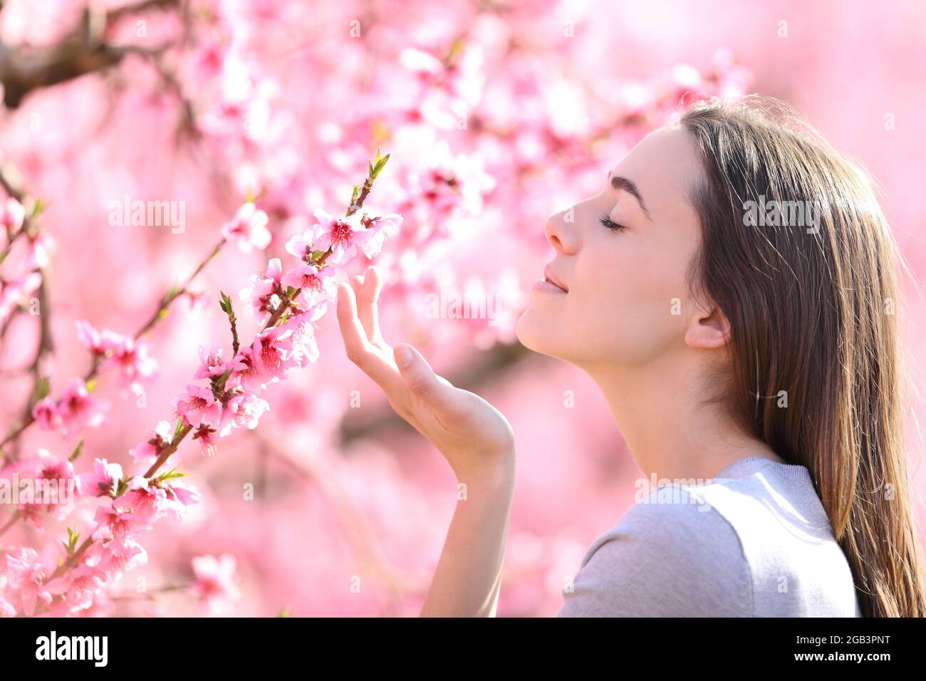 Profile of a woman smelling flowers in a pink field a sunny day Stock Photo