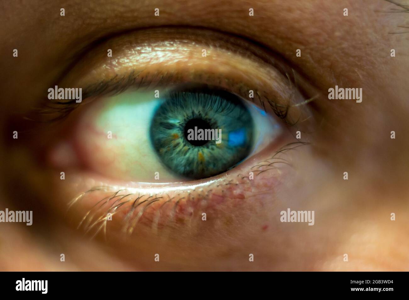 Macro photo of the human eye Stock Photo - Alamy