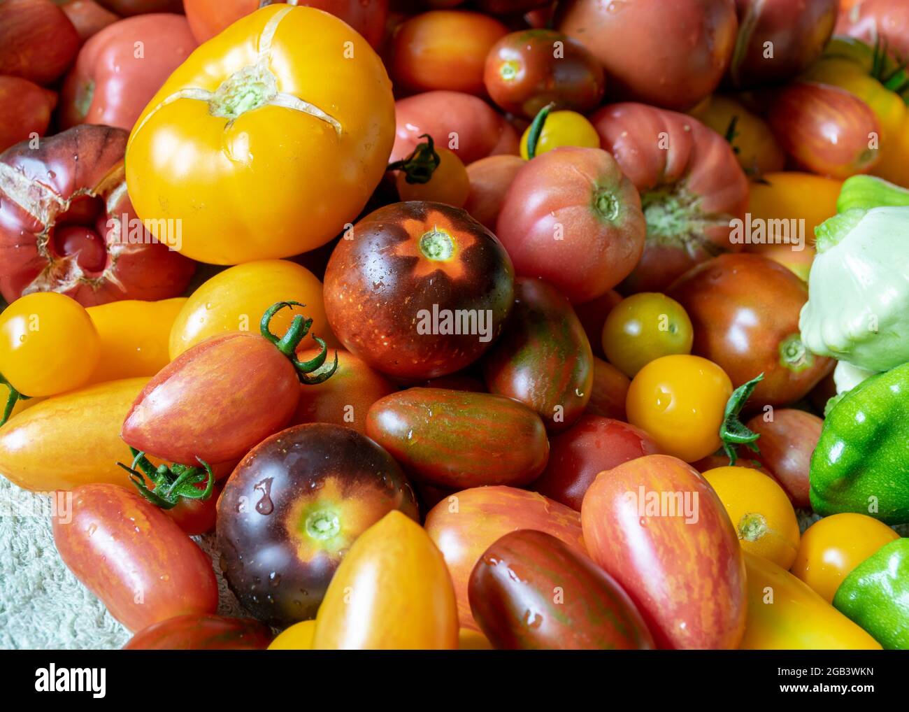 color photo with autumn vegetables on the table, different colors, shapes and types of vegetables prepared for home canning, vegetable fragments, autu Stock Photo