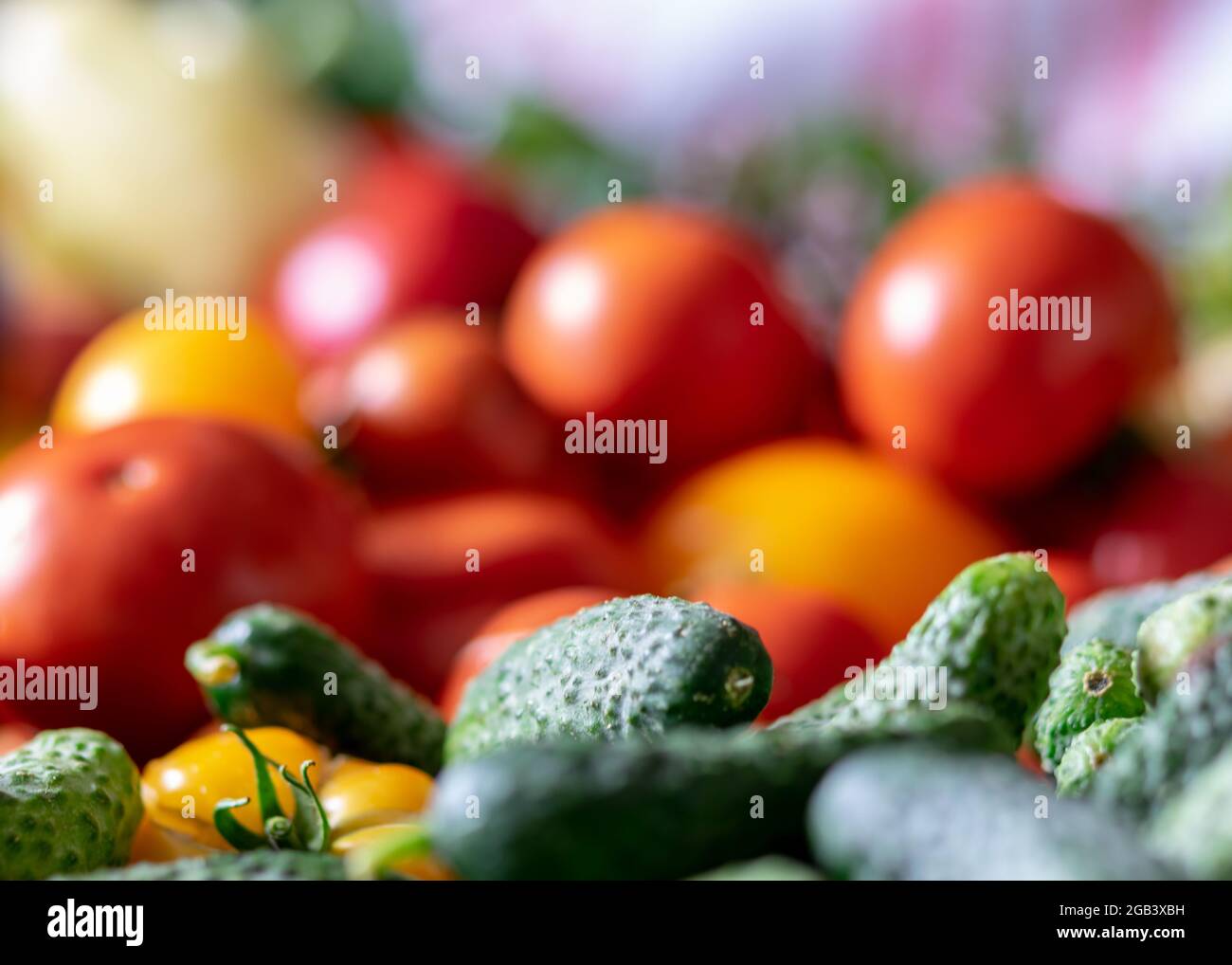 color photo with autumn vegetables on the table, different colors, shapes and types of vegetables prepared for home canning, vegetable fragments, autu Stock Photo