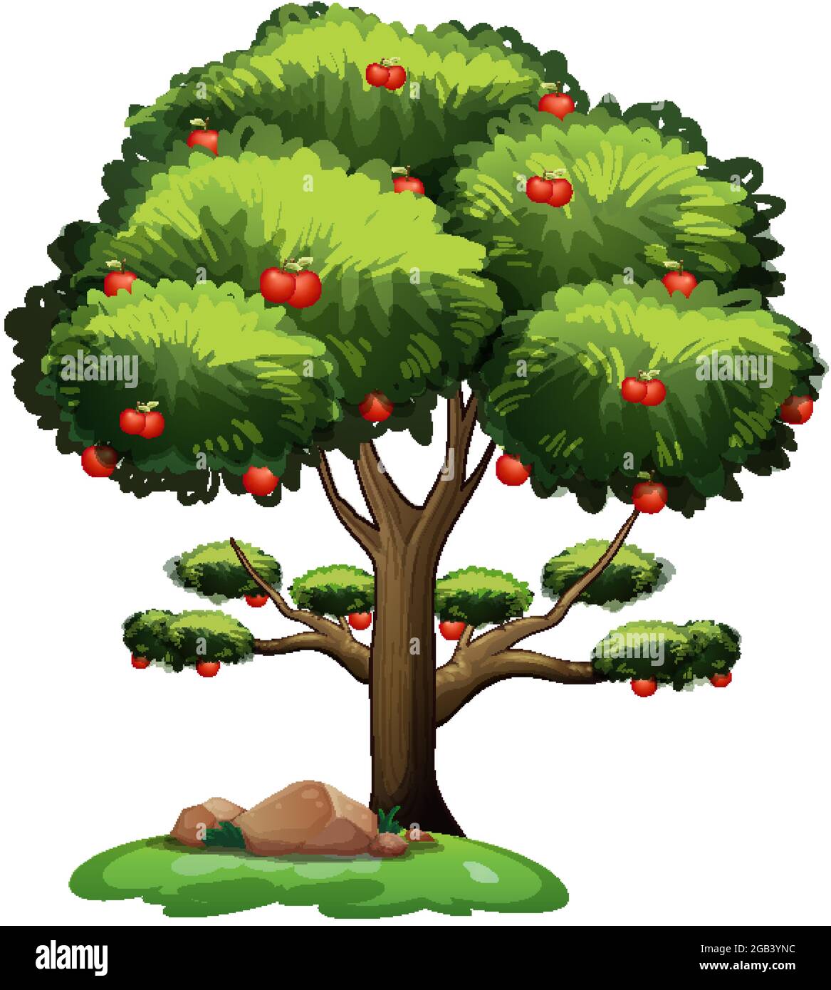 Apple tree isolated on white background illustration Stock Vector Image ...