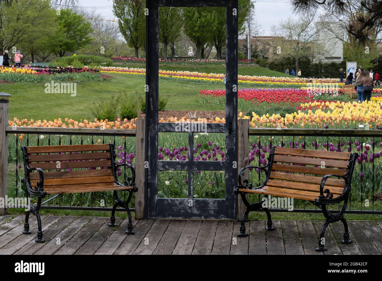 'Portal', Tulips at Window on the Waterfront, in Riverview Park, Holland, Michigan. Stock Photo