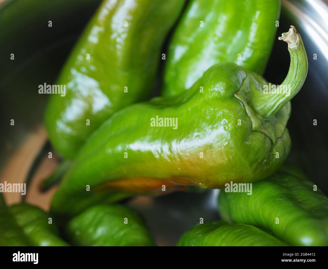 green peppers (scientific name Capsicum aka bell peppers) vegetables