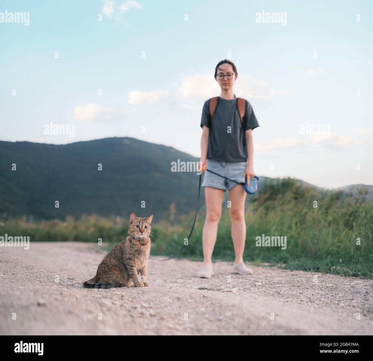 Woman walking with a cat on a leash in summer. Stock Photo