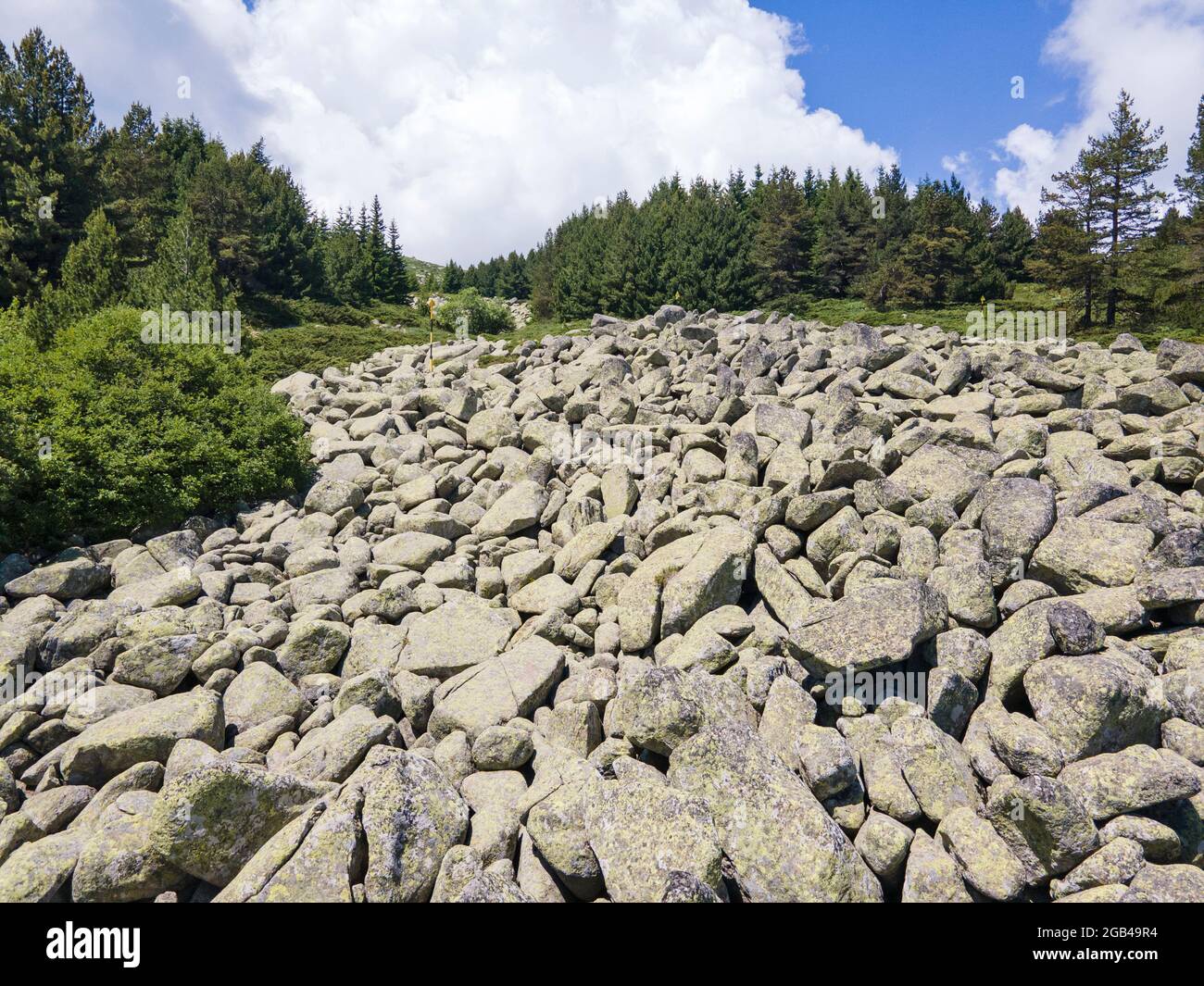 Small mountain river in Vitosha mountain, Sofia Stock Photo - Alamy