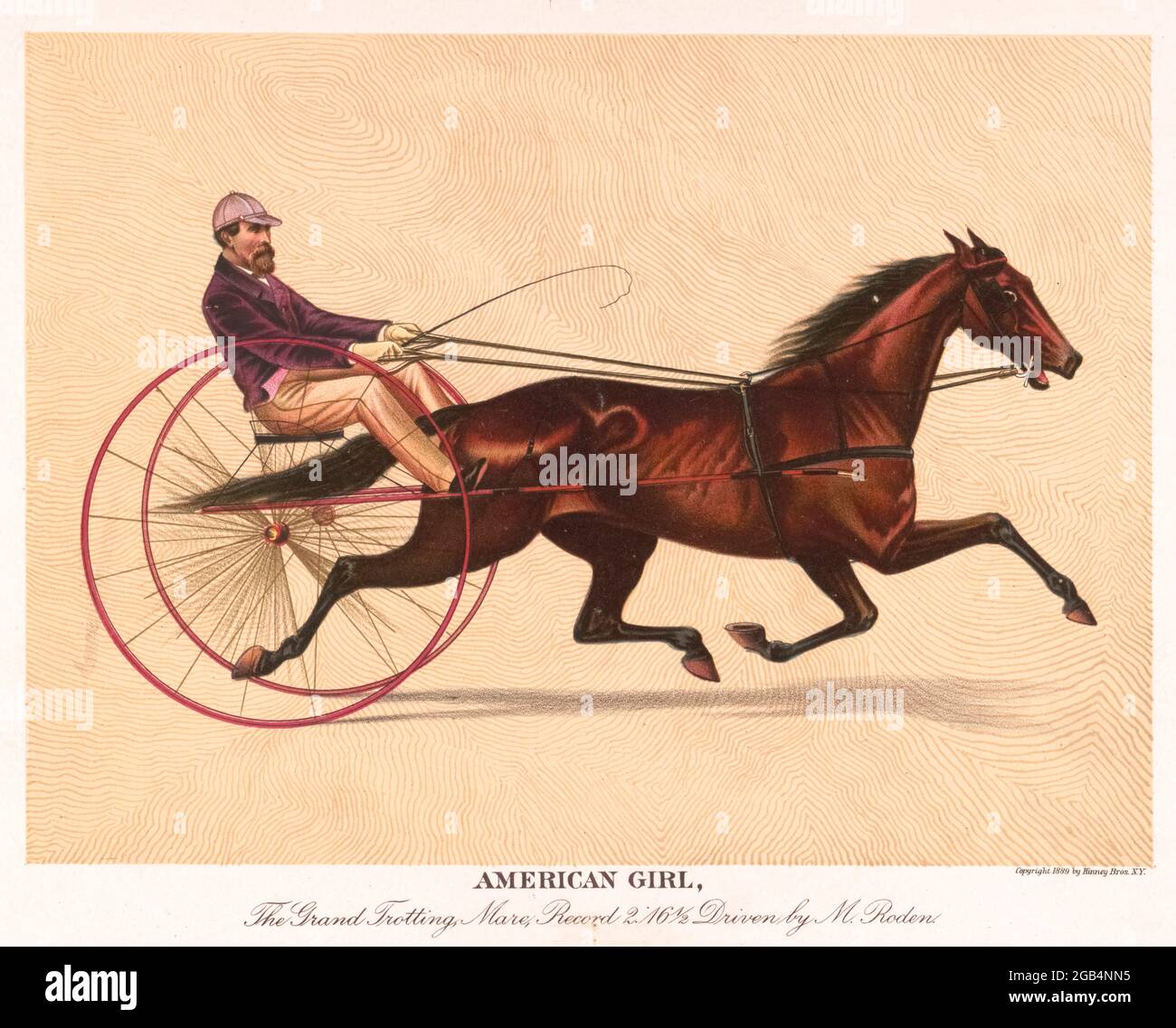 American Girl, The Grand Trotting Mare 1889 Stock Photo