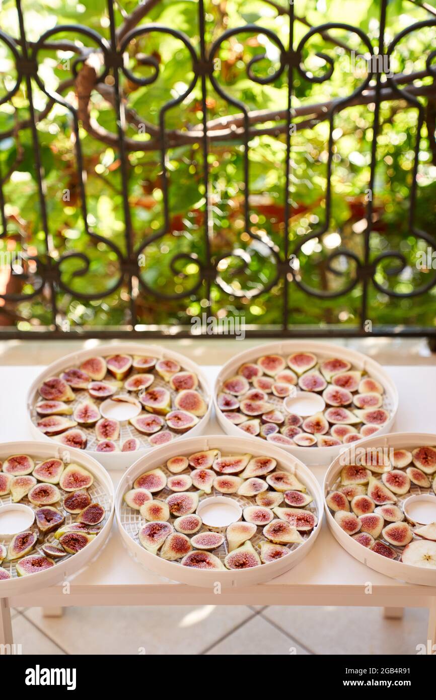 Figs drying process on plates on the table on the balcony Stock Photo