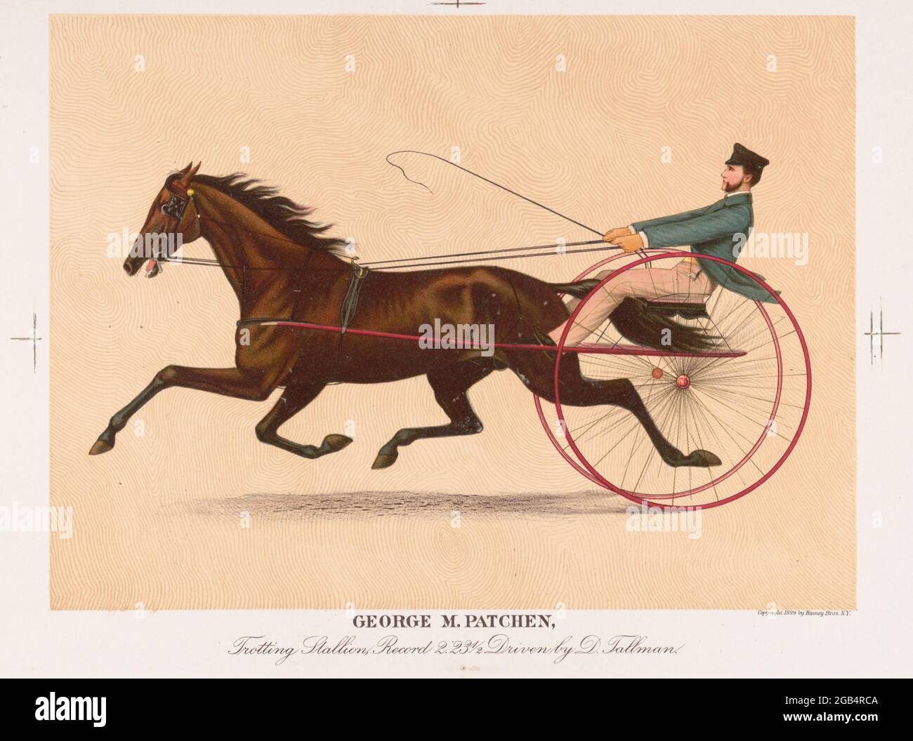 Vintage stallion hi-res stock photography and images - Alamy