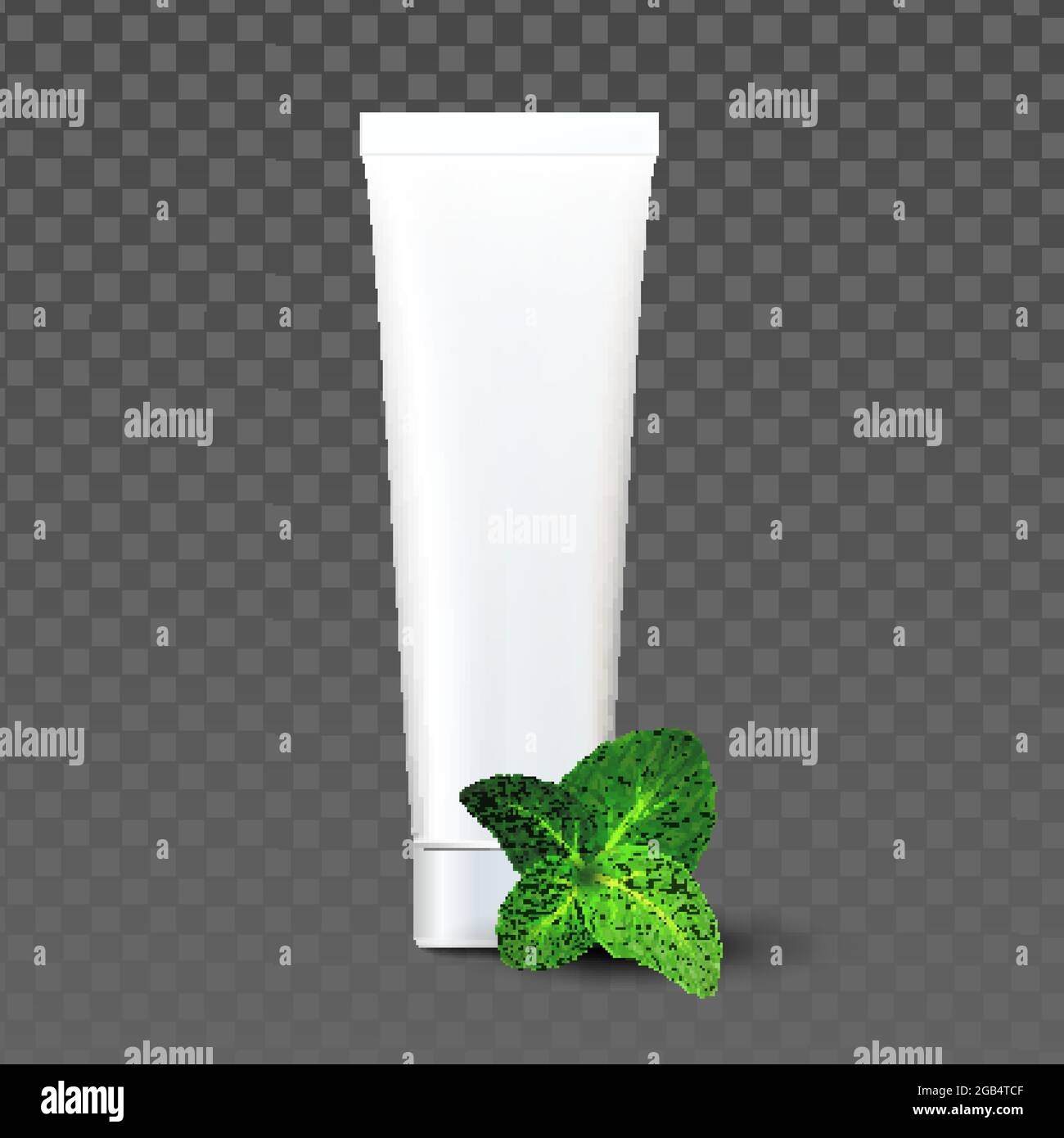 Toothpaste Blank Package With Mint Taste Vector Stock Vector Image ...