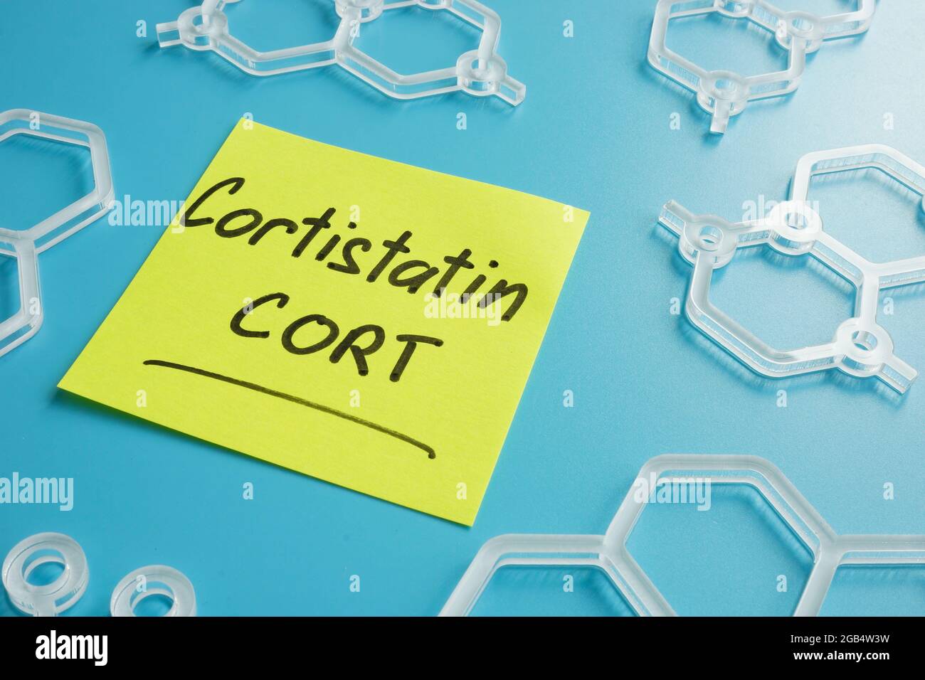 Cortistatin CORT written on the sticker and molecular models. Stock Photo
