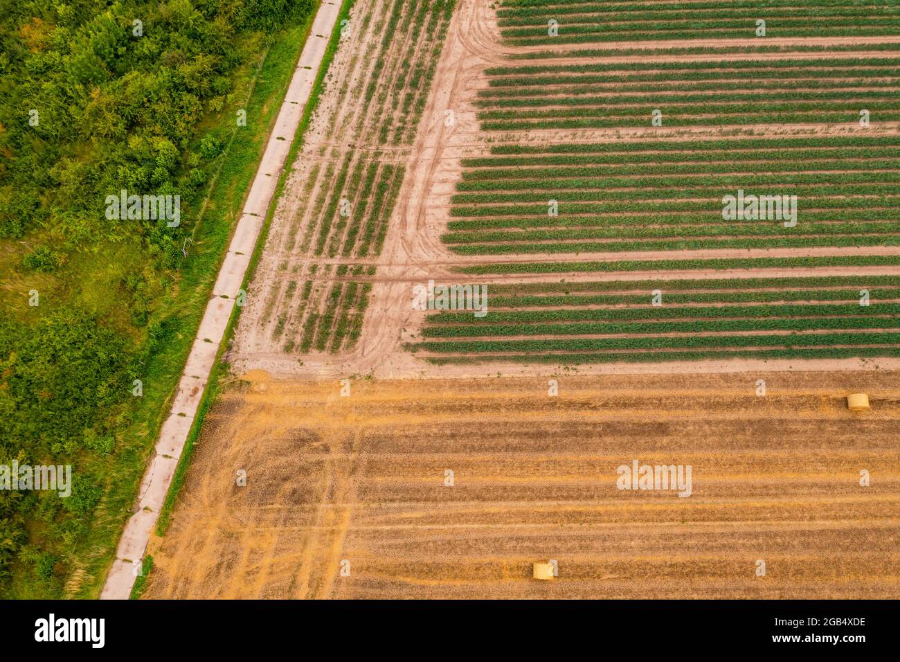 Aerial view of a piece of tree, a field with onions and a field after harvest with hay bales Stock Photo