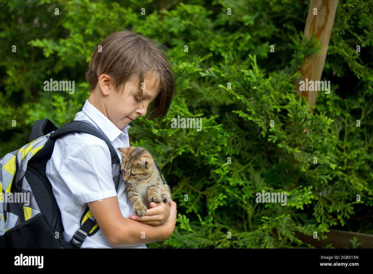Cute child, boy, playing with little brown kitten in the park before school Stock Photo