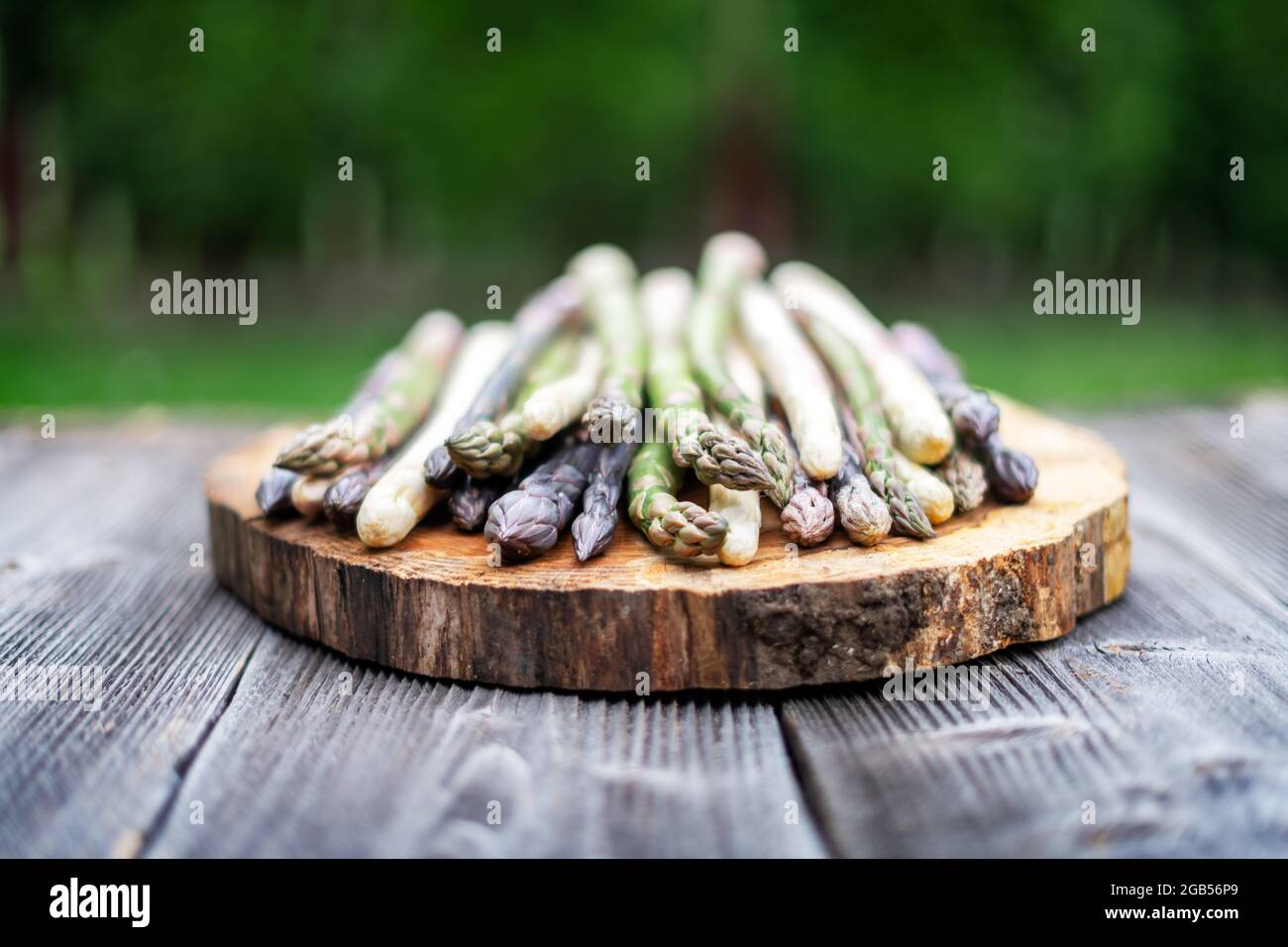 Green, purple and white asparagus sprouts on wooden board closeup. Top view flat lay. Food photography Stock Photo