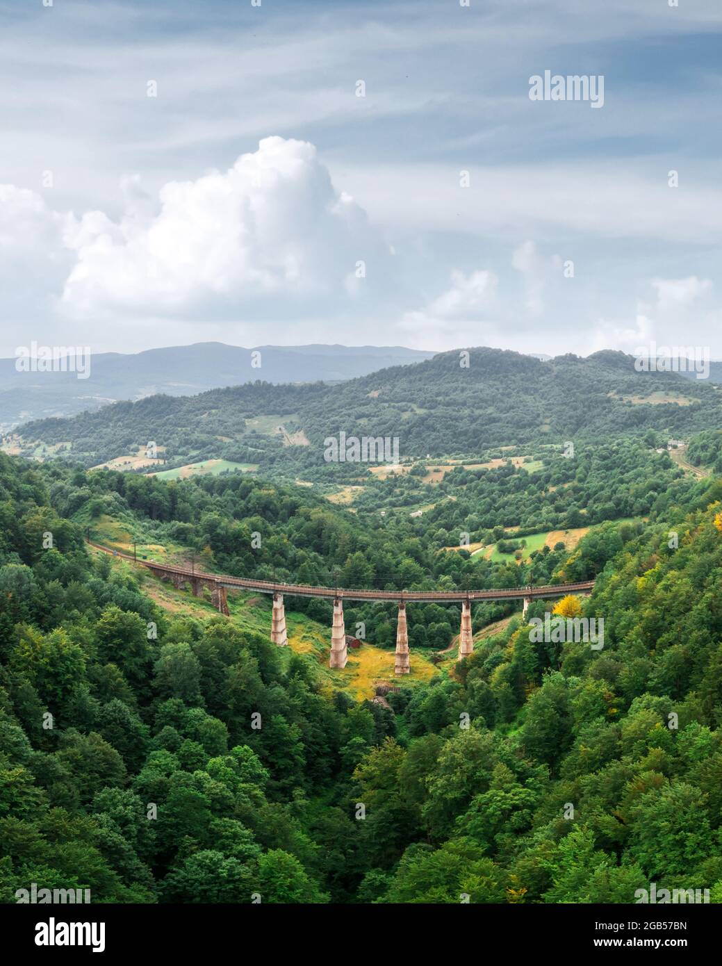 Old railway bridge in lush summer forest in Carpathians mountains, Ukraine. Landscape photography Stock Photo