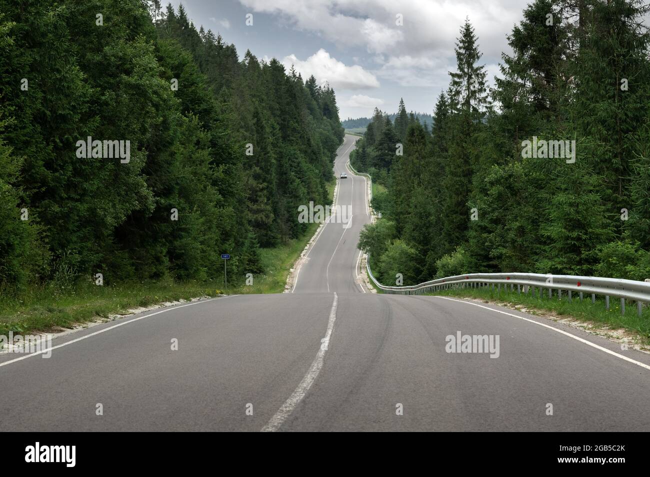 Curvy mountain road serpentine in green summer forest. Ukraine, Carpathian mountains. Landscape photography Stock Photo