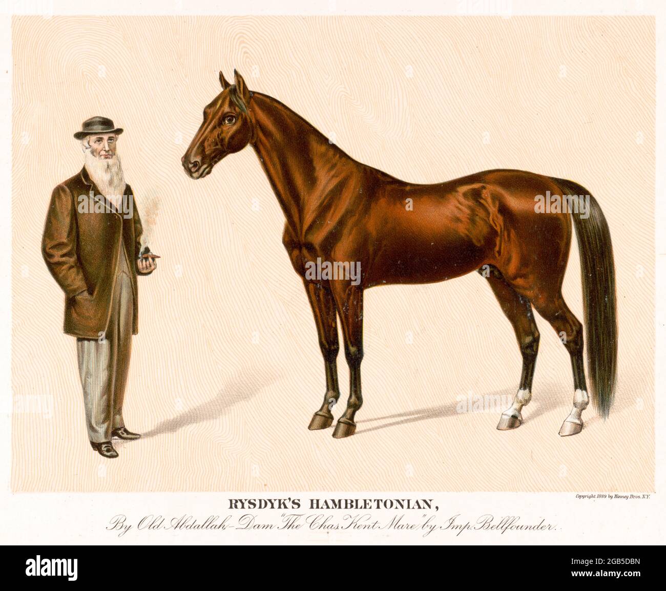 Hambletonian 10, or Rysdyk's Hambletonian, (May 5, 1849 – March 27, 1876) was an American trotter and a founding sire of the Standardbred horse breed. The stallion was born in Sugar Loaf, New York, on 5 May 1849. Hambletonian has been inducted into the Immortals category of the Harness Racing Hall of Fame.  bred by Jonas Seely, Jr., on his farm at Sugar Loaf in Orange County, New York. He was sired by Abdallah, a grandson of the hugely influential Thoroughbred sire, Messenger. Stock Photo