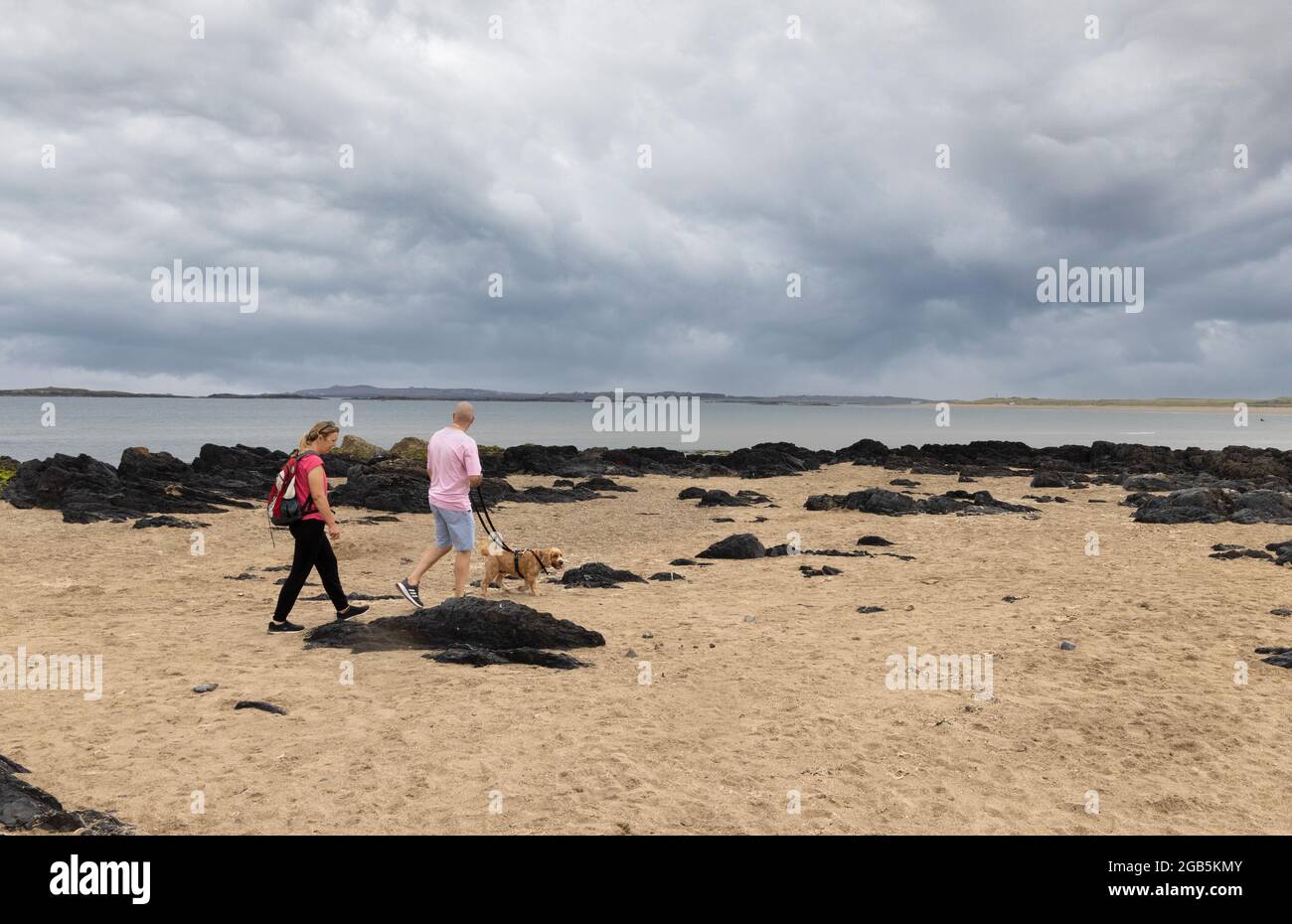 Couple walking a dog on the beach, Rhosneigr beach on the Anglesey coast, Anglesey, Wales UK Stock Photo