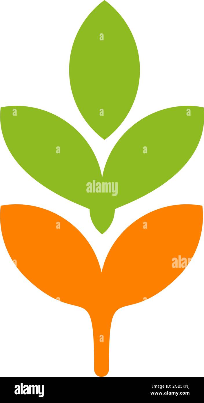 Wheat plant logo design vector template Stock Vector