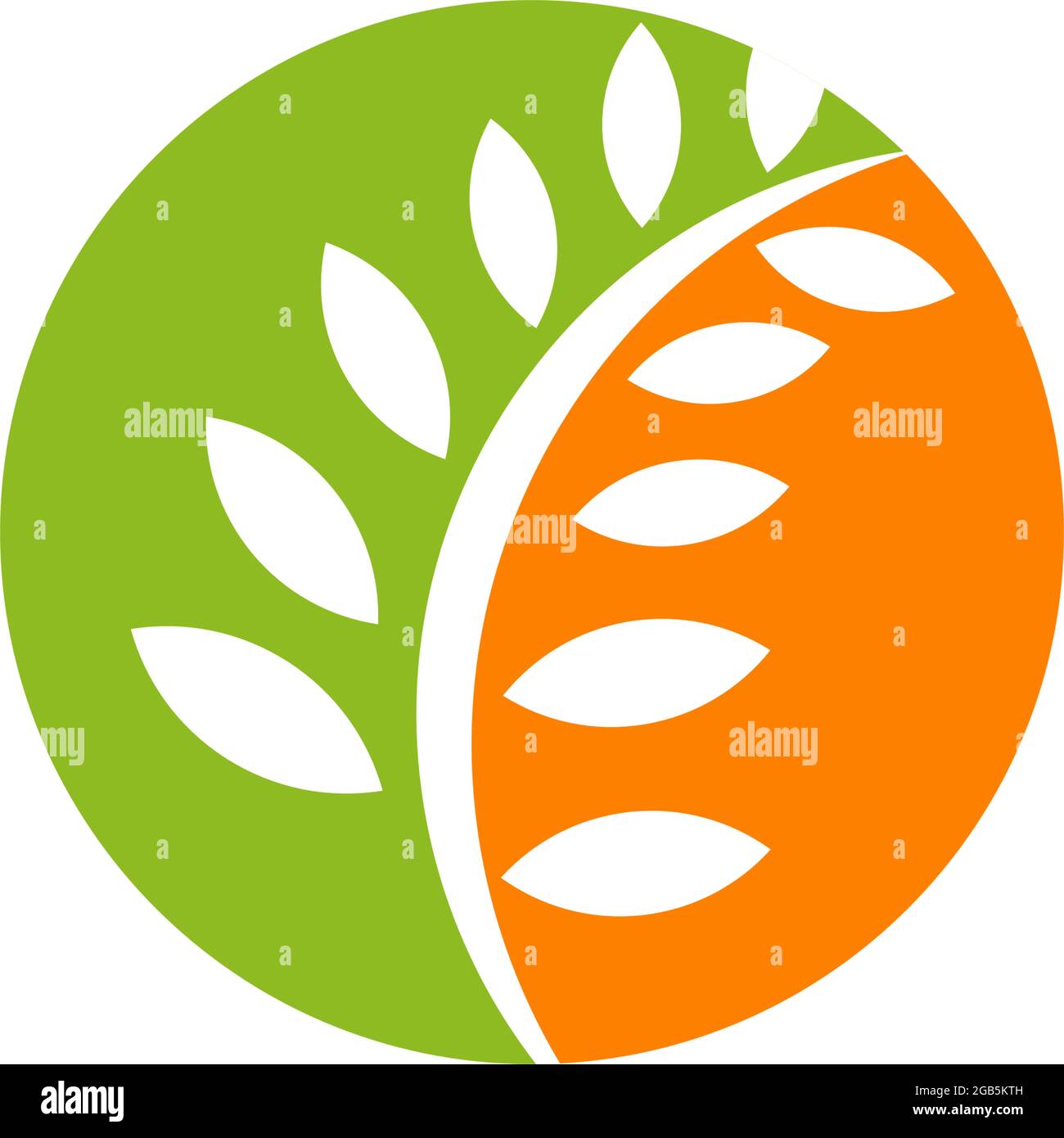 Wheat plant logo design vector template Stock Vector