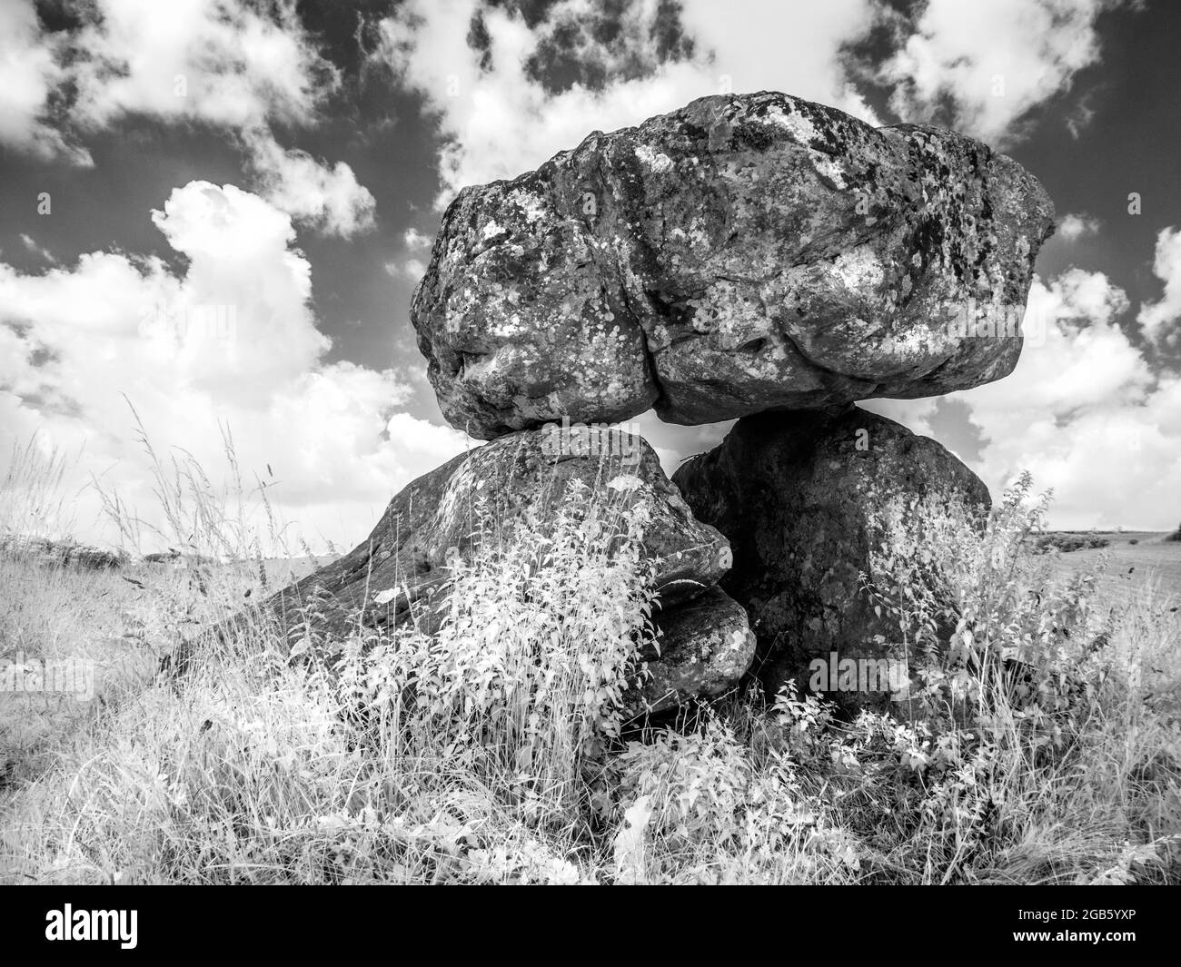 The Devil's Den near Marlborough in Wiltshire, shot in infrared. Stock Photo