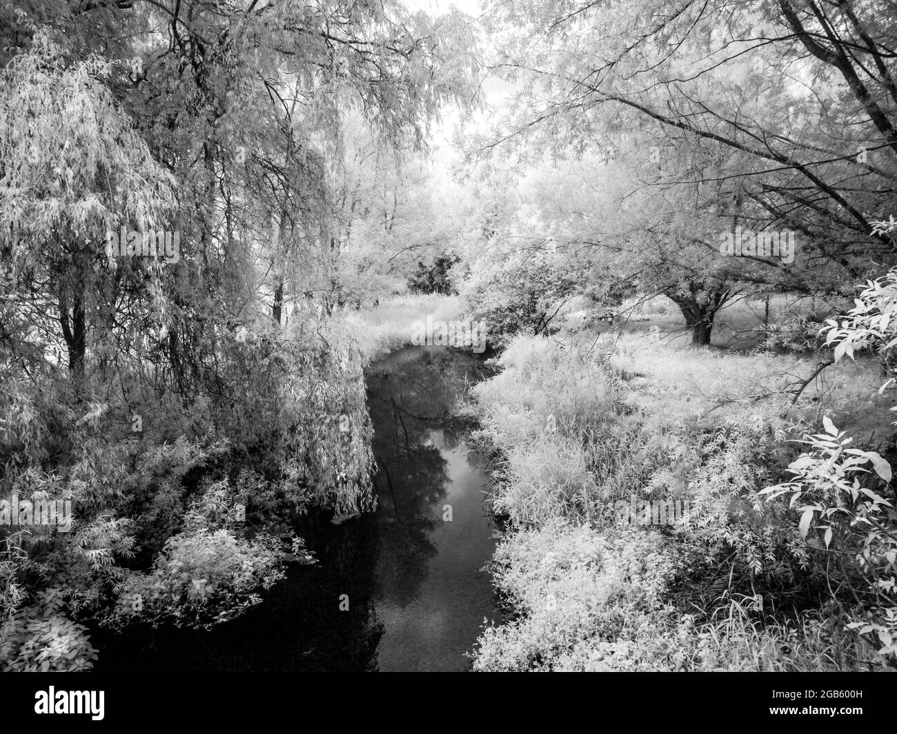 The River Kennet near Marlborough in Wiltshire, shot in infrared. Stock Photo