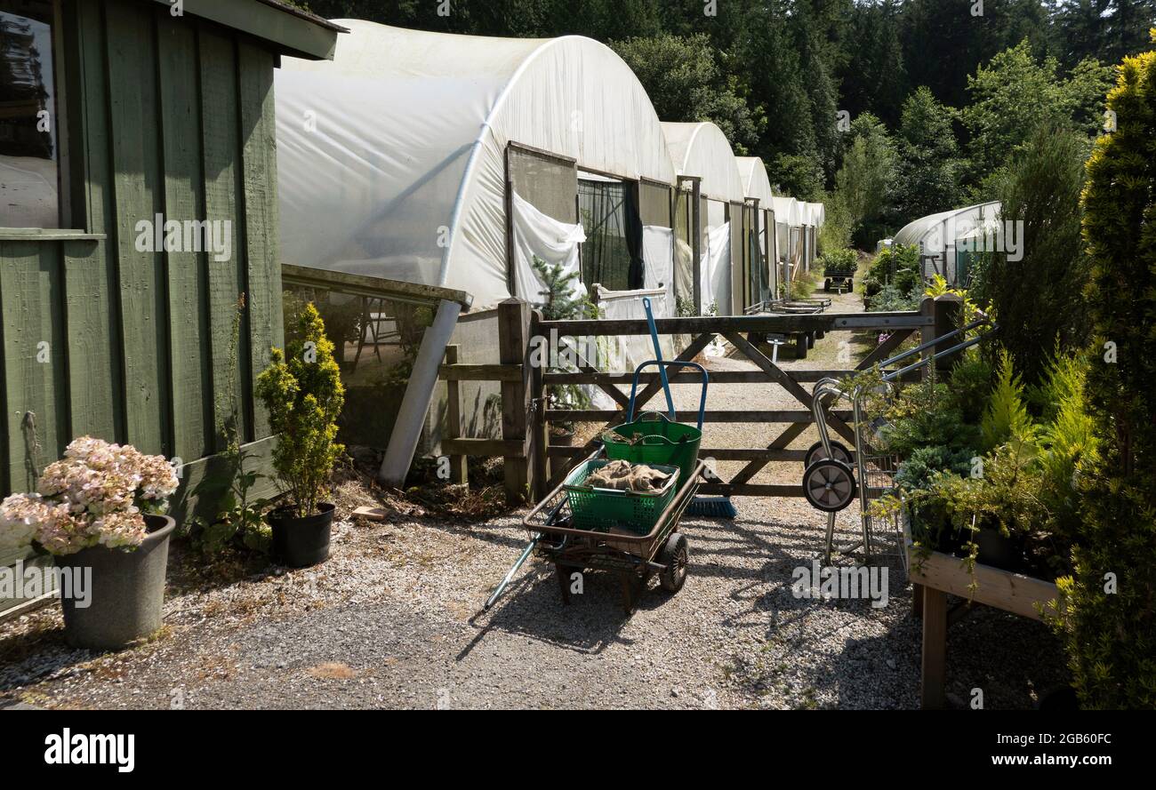 England, UK. 2021.  Flower and plant nurseriy in the west country, UK. The growing area under plastic propigation tents. Stock Photo
