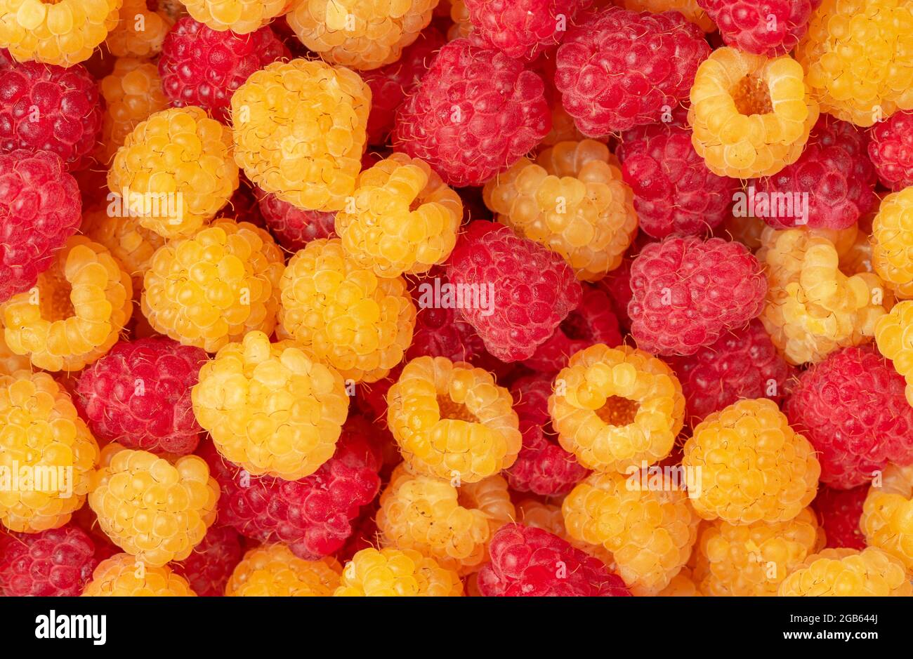 Red Andyellow Raspberry Yellow and red raspberries background. Directly above Stock Photo - Alamy