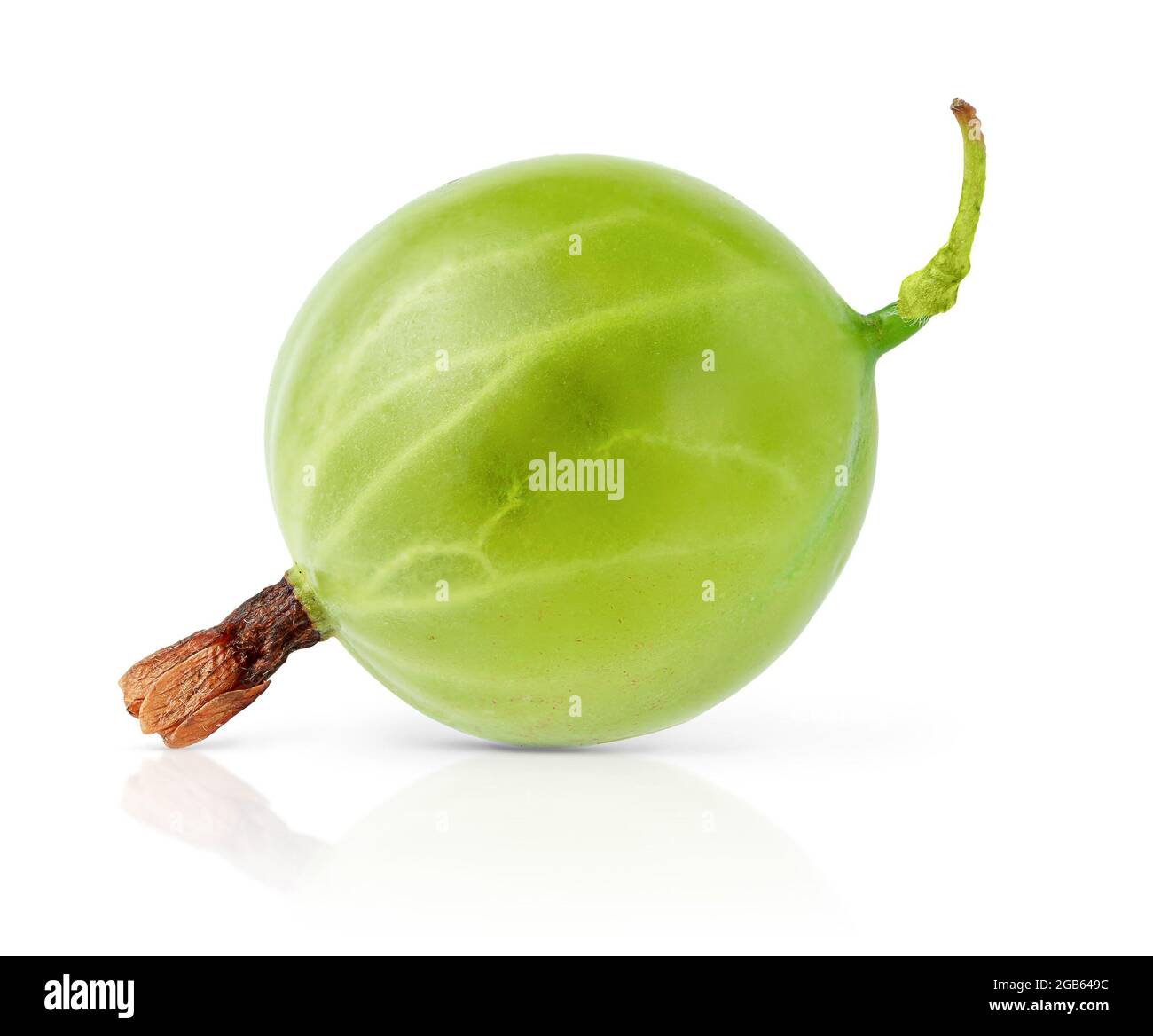 Macro shot of single gooseberry isolated with clipping path. Stock Photo