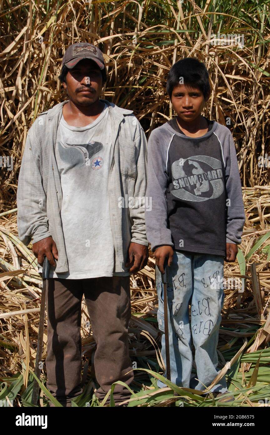 Portrait of a father and son who have been harvesting caña (sugar cane) Stock Photo