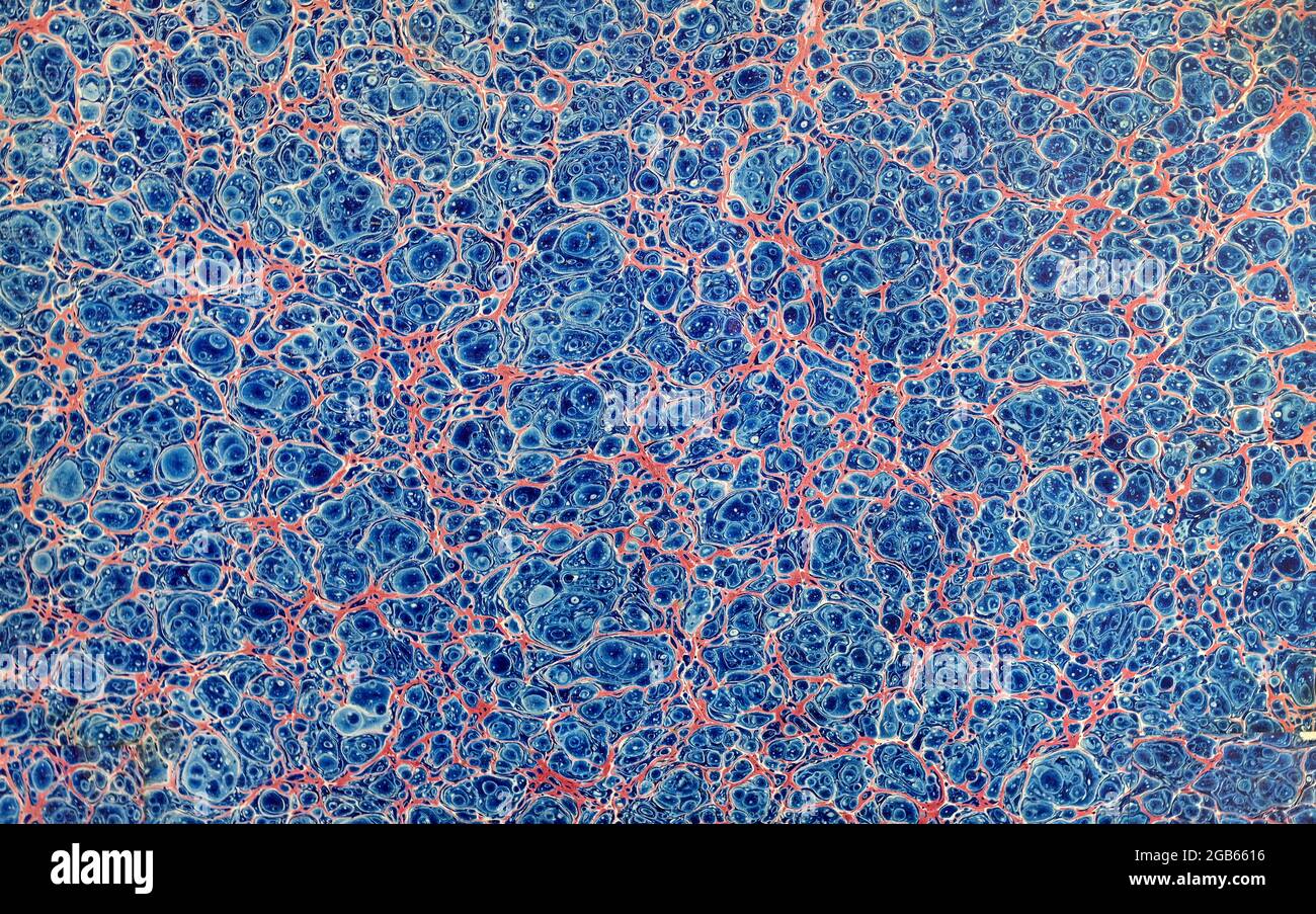 vintage blue marble organic mottled pattern background Stock Photo