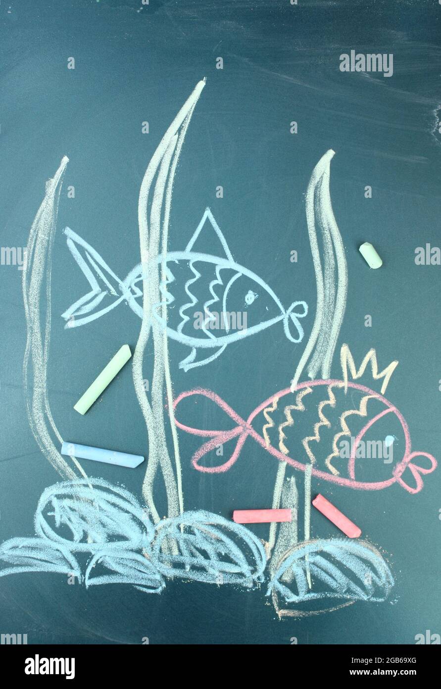 Chalkboard Drawing Fish High Resolution Stock Photography and Images