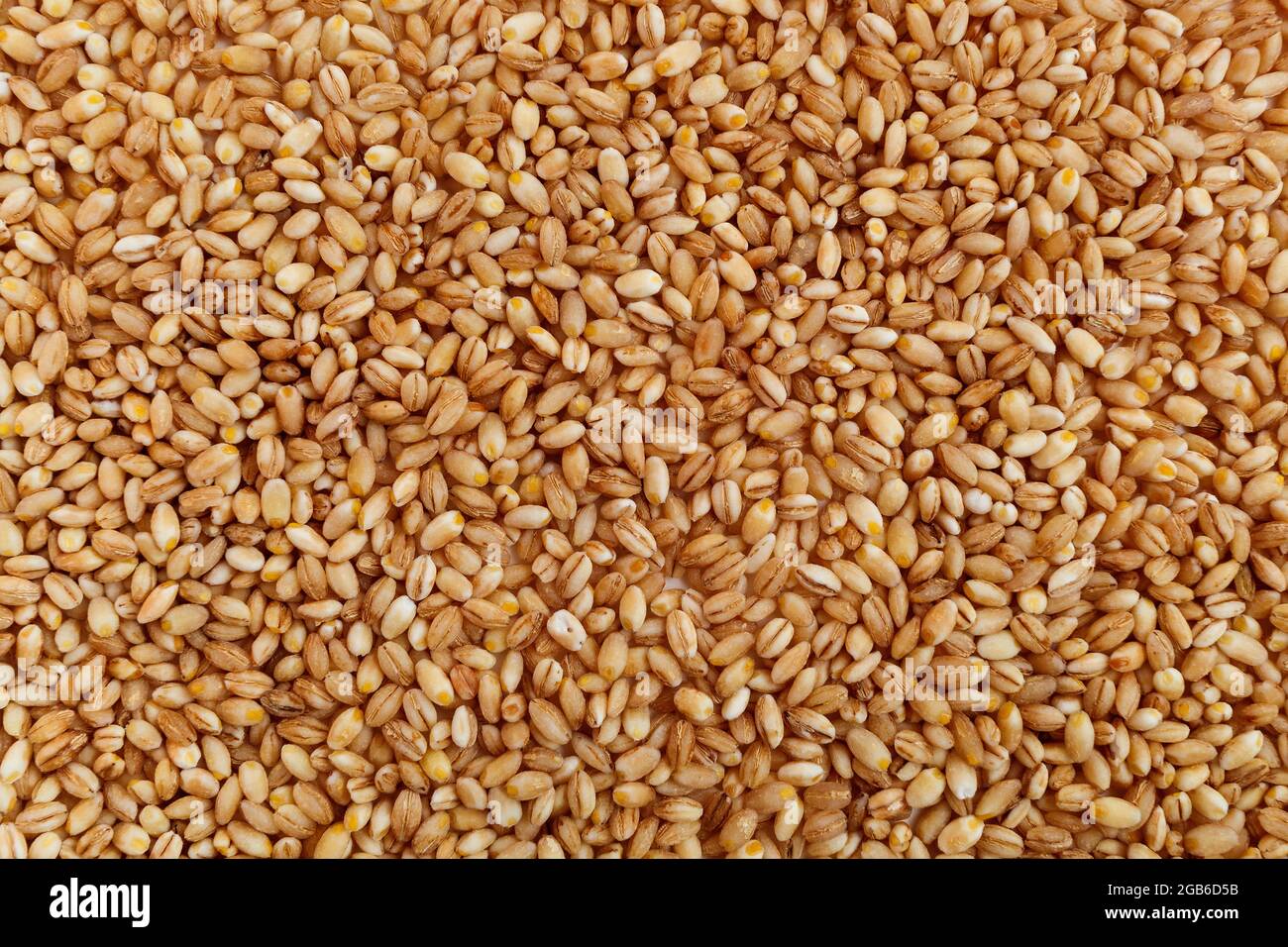 grain texture of raw pearl barley Stock Photo - Alamy