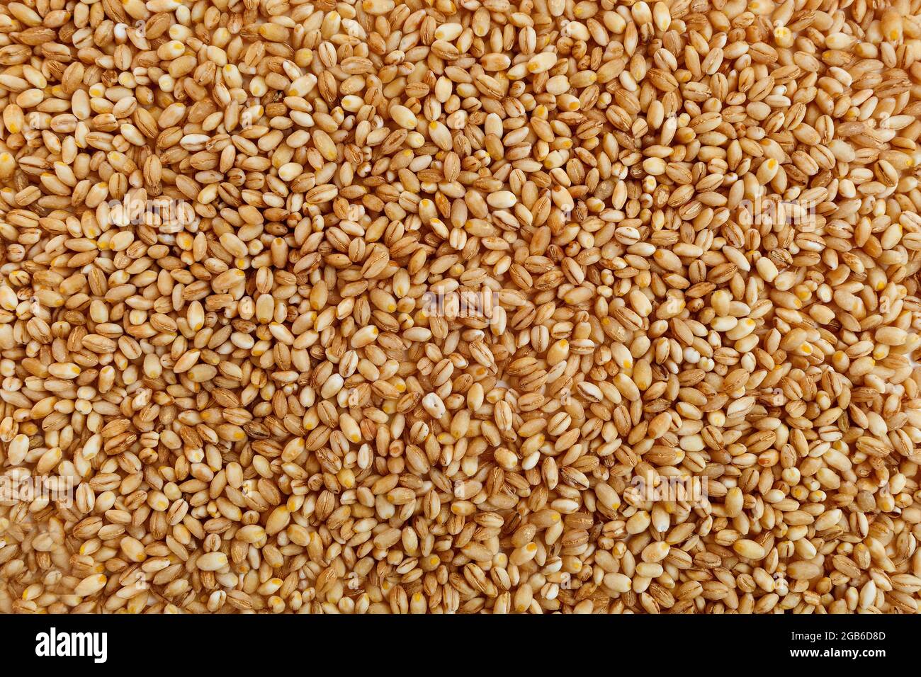 grain texture of raw pearl barley Stock Photo - Alamy