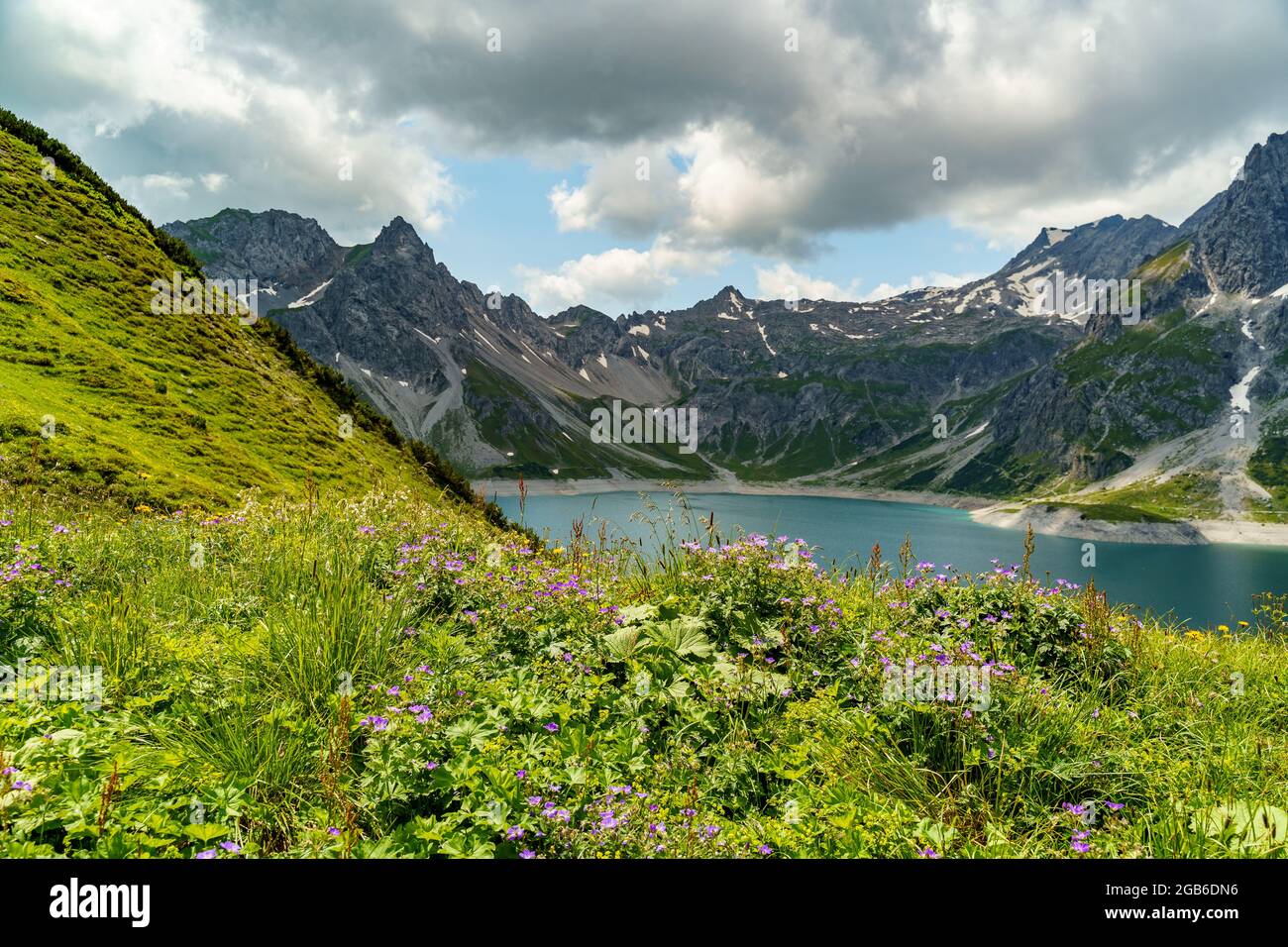 colored flowered meadows with daisies, alpine roses an other flowers. Brand valley reservoir with steep, stony mountains of Vorarlberg in background Stock Photo