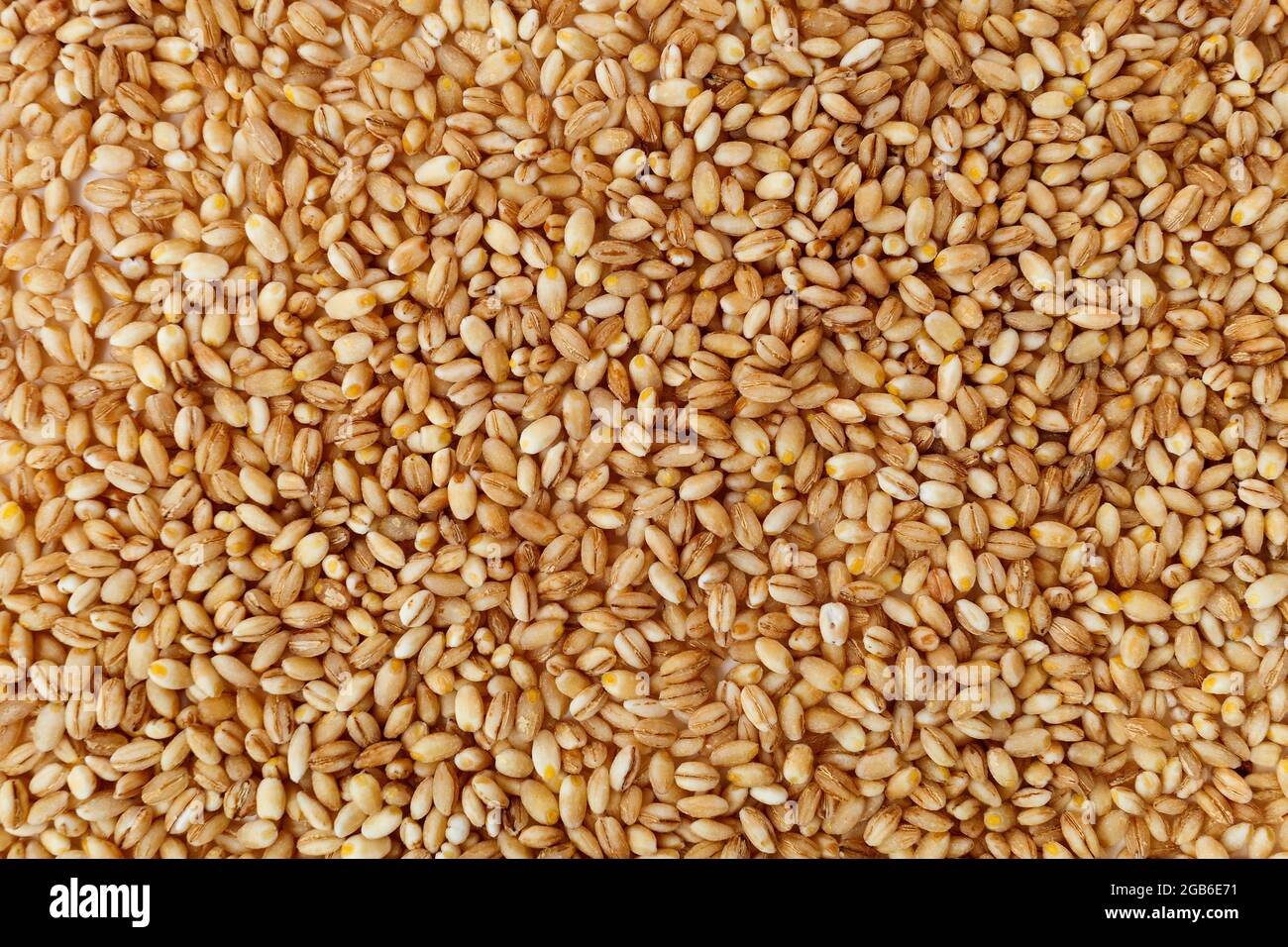 grain texture of raw pearl barley Stock Photo - Alamy