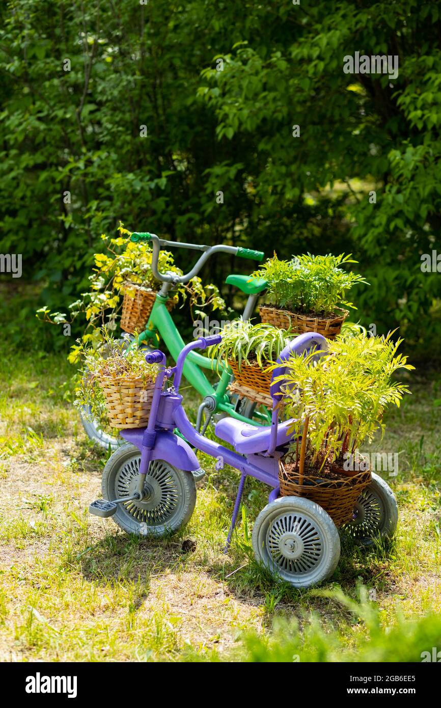 old tricycle garden decoration
