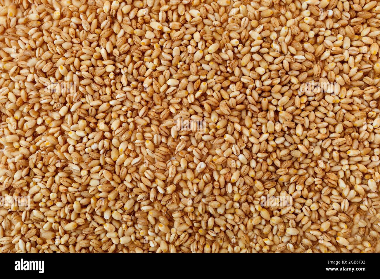 grain texture of raw pearl barley Stock Photo - Alamy